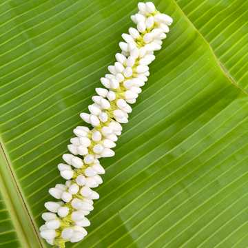 Untitled design (81)