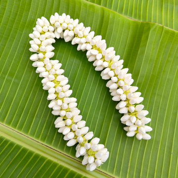 Bring a traditional charm to your look with this Medium Size Buds Artificial Flower strand, measuring 16 inches (1 molam). Perfect for hairstyles, festive wear, pooja decor, and gifting. 🌺✨ ✅ Rea