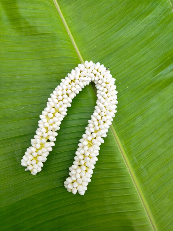 Small buds – (16 inch length) 1molam