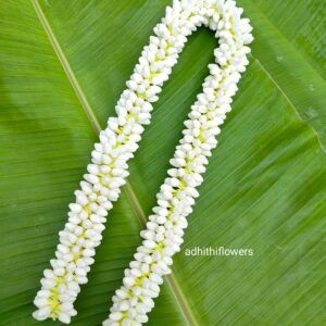 Medium size buds (32 inches length) 2 molam